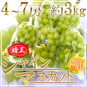 岡山産 ”シャインマスカット「晴王」” 4〜7房 約3kg ぶどう【予約 7月下旬以降】 送料無料