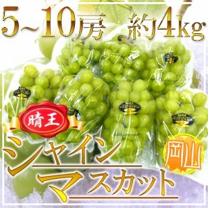 岡山産 ”シャインマスカット「晴王」” 5〜10房 約4kg ぶどう【予約 7月下旬以降】 送料無料