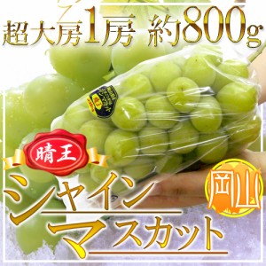 岡山産 ”シャインマスカット「晴王」” 超大房1房 約800g以上 ぶどう【予約 7月下旬以降】