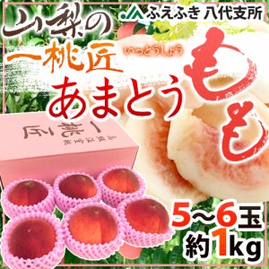 山梨県 JAふえふき 八代地区 ”一桃匠 あまとう” 5〜6玉 約1kg 化粧箱【予約 5月中下旬以降】 送料無料