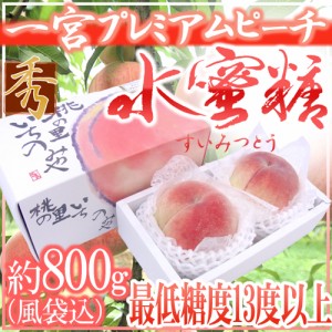 山梨県産 ”一宮 プレミアムピーチ 水蜜糖” 2玉入り 約800g（風袋込） 化粧箱 糖度13度以上 桃【予約 7月下旬以降】 送料無料