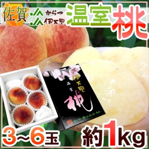 佐賀県産 ”温室桃” 3〜6玉 約1kg 化粧箱【予約 5月下旬以降】 送料無料