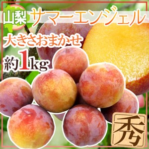 ”山梨県産 サマーエンジェル” 秀品 約1kg 大きさおまかせ プラム【予約 7月下旬以降】 送料無料