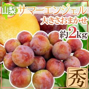 ”山梨県産 サマーエンジェル” 秀品 約2kg 大きさおまかせ プラム【予約 7月下旬以降】 送料無料