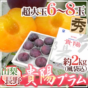 山梨・長野産 ”貴陽プラム” 特大6〜8玉 約2kg（風袋込） 化粧箱【予約 7月以降】 送料無料