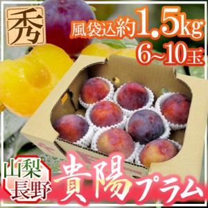 山梨・長野県 ”貴陽プラム” 秀品 大玉6〜10玉 約1.5kg【予約 7月以降】 送料無料