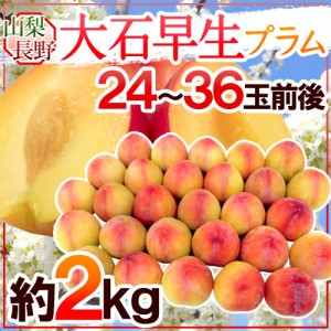 山梨・長野県産 すもも ”大石早生プラム” 24〜36玉前後 約2kg【予約 7月以降】 送料無料