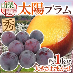 山梨・長野産 ”太陽プラム” 秀品 約1kg 大きさおまかせ すもも【予約 8月以降】 送料無料