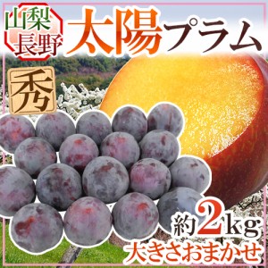 山梨・長野産 ”太陽プラム” 秀品 約2kg 大きさおまかせ すもも【予約 8月以降】 送料無料