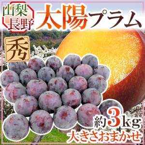 山梨・長野産 ”太陽プラム” 秀品 約3kg 大きさおまかせ すもも【予約 8月以降】 送料無料