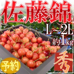 山形産 さくらんぼ ”佐藤錦” 秀品 大粒 L〜2Lサイズ 約1kg【予約 6月下旬以降】 送料無料