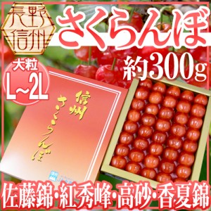 長野産 ”さくらんぼ” L〜2L 約300g 化粧箱入り 手詰め品 佐藤錦・紅秀峰ほか旬の品種で！【予約 5月以降】 送料無料