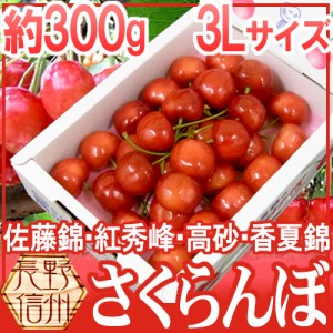 長野産 ”さくらんぼ” 3L 約300g 化粧箱入り バラ詰め 佐藤錦・紅秀峰ほか旬の品種で！【予約 5月以降】 送料無料