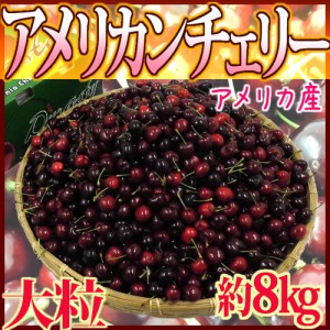 アメリカ産 ”アメリカンチェリー” 大粒 約8kg【予約 5月下旬以降】 送料無料