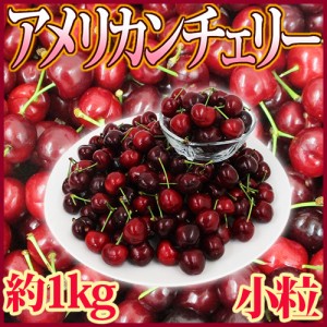 アメリカ産 ”アメリカンチェリー” 小粒 約1kg【予約 5月下旬以降】 送料無料