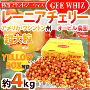 アメリカ産 ”ジーウィズ レーニアチェリー” 約4kg イエロー等級 さくらんぼ【予約 6月下旬以降】 送料無料