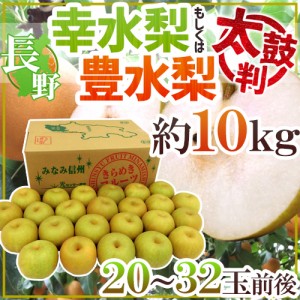 長野産 ”幸水梨もしくは豊水梨 太鼓判” 20〜32玉前後 約10kg 産地箱【予約 8月末以降】 送料無料