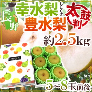 ”長野産 幸水梨もしくは豊水梨 太鼓判” 5〜8玉前後 約2.5kg 化粧箱【予約 8月末以降】 送料無料