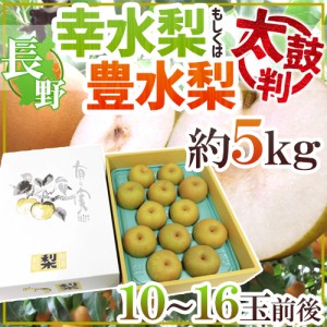 ”長野産 幸水梨もしくは豊水梨 太鼓判” 10〜16玉前後 約5kg 化粧箱【予約 8月末以降】 送料無料