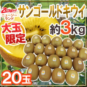 ゼスプリ ”サンゴールドキウイ” 大玉 20玉 約3kg【予約 4月下旬以降】 送料無料