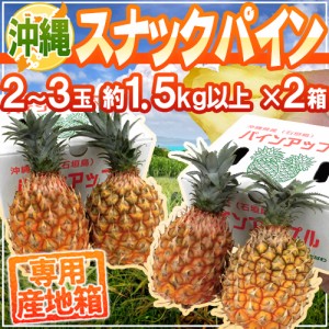 沖縄産 ”スナックパイン” 2〜3玉 約1.5kg以上×《2箱》 専用産地箱 パイナップル【予約 4月下旬以降】 送料無料