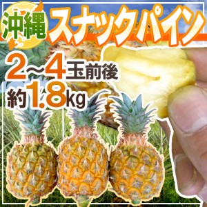 沖縄産 ”スナックパイン” 2〜4玉前後 約1.8kg【予約 3月下旬以降】 送料無料