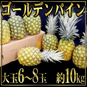 フィリピン産 ”ゴールデンパイン” 大玉 6〜8玉 約10kg 送料無料