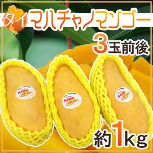 タイ産 ”マハチャノマンゴー” 3玉前後 約1kg【予約 4月末以降】 送料無料