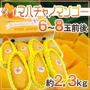 タイ産 ”マハチャノマンゴー” 6〜8玉前後 約2.3kg【予約 4月末以降】 送料無料