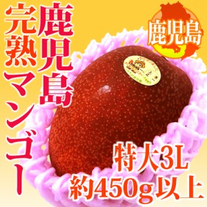 鹿児島産 ”完熟マンゴー” 秀品 特大3L 約450g以上 パック入り【予約 5月中下旬以降】