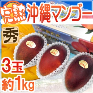 沖縄産 ”完熟マンゴー” 秀品 3玉 約1kg 化粧箱 沖縄マンゴー【予約 7月以降】 送料無料