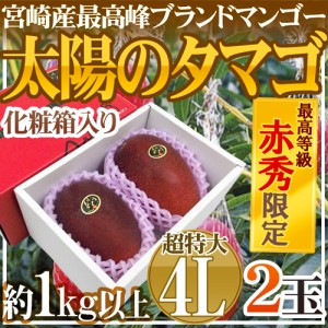 宮崎完熟マンゴー ”太陽のタマゴ” 超特大4L 2玉入り 最高等級 赤秀限定【予約 4月以降】 送料無料