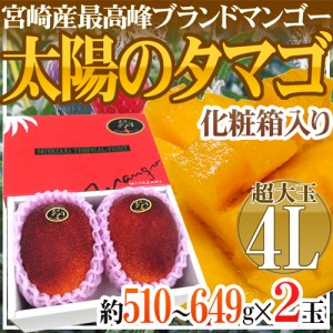 【お届け日指定可能】宮崎マンゴー ”太陽のタマゴ” 4Lサイズ 2玉 化粧箱 送料無料