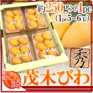 長崎県 ”茂木びわ” 秀品 大玉L/2Lサイズ 約250g×4pc（約1kg）【予約 3月下旬以降】 送料無料