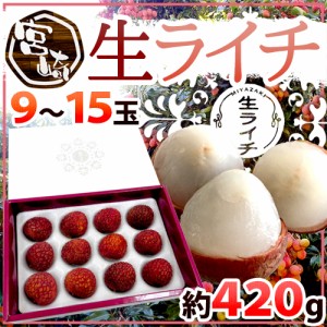 宮崎県産 ”生ライチ” 9〜15玉 約420g 化粧箱入り 国産 レイシ 茘枝【予約 5月末以降】 送料無料