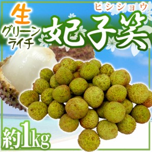 ”生グリーンライチ 妃子笑（ひししょう）” 約1kg 中国産 レイシ 茘枝【予約 5月下旬以降】