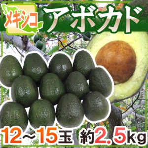 メキシコ産 ”アボカド” 12〜15玉 約2.5kg 送料無料