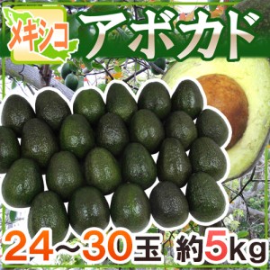 メキシコ産 ”アボカド” 24〜30玉 約5kg 送料無料