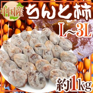 ”ちんと柿” L〜3L 約1kg 中国産【予約 入荷次第発送】 送料無料