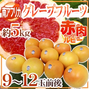 南アフリカ産 ”グレープフルーツ ルビー” 大玉9〜12玉前後 約5kg【予約 6月中旬以降】 送料無料