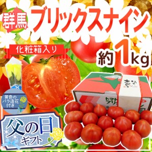 父の日ギフト ”ブリックスナイントマト” 約1kg＋黄色バラ造花1本【予約 6月9〜16日お届け予定】 送料無料