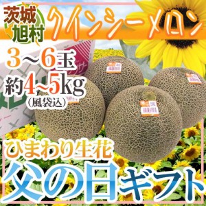 父の日ギフト ”旭村 クインシーメロン” 秀品 3〜6玉 風袋込約4〜5kg＋ひまわり生花1本【予約 6月9〜16日お届け予定】 送料無料