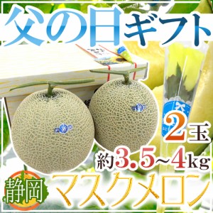 遅れてごめんね！父の日ギフト 静岡産 ”マスクメロン” 2玉 約3.5〜4kg前後 黄色バラ造花付き【予約 6月17日以降】 送料無料