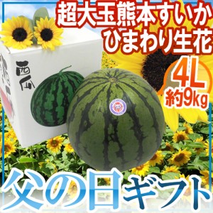 父の日ギフト ジャンボ ”熊本すいか” 秀品 1玉 約9〜10kg＋ひまわり生花2本【予約 6月9〜16日お届け予定】 送料無料