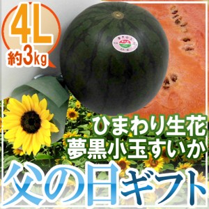 父の日ギフト ”夢黒小玉すいか” 秀・優品 1玉 約3kg＋ひまわり生花1本【予約 6月9〜16日お届け予定】 送料無料