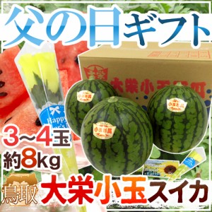 遅れてごめんね！父の日ギフト ”大栄小玉スイカ 姫甘泉” 3〜4玉 約8kg＋黄色バラ造花1本 専用産地箱 鳥取産【予約 6月17日以降】 送料