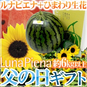 父の日ギフト ”ルナピエナすいか” 秀品 1玉 約6kg以上＋ひまわり生花2本【予約 6月9〜16日お届け予定】 送料無料