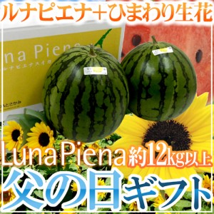 父の日ギフト ”ルナピエナすいか” 秀品 2玉 約12kg以上＋ひまわり生花2本【予約 6月9〜16日お届け予定】 送料無料