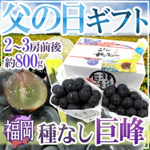 遅れてごめんね！父の日ギフト ”種なし巨峰” 秀品 2〜3房 約800g＋黄色バラ造花1本【予約 6月17日以降】 送料無料