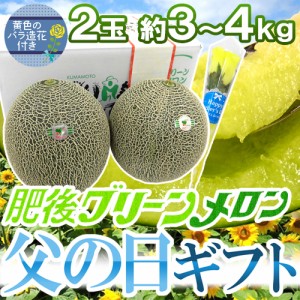 父の日ギフト ”肥後グリーンメロン” 秀品 2玉 約3〜4kg＋黄色バラ造花1本【予約 6月9〜16日お届け予定】 送料無料